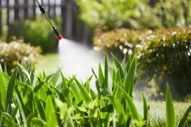 24/7 Emergency Ant Control experts in Allentown, NJ