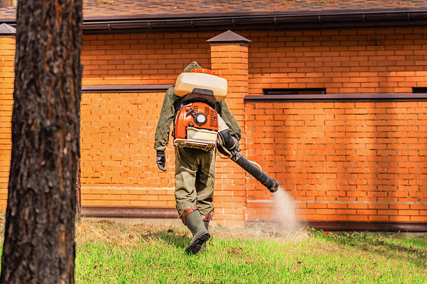 Trusted Bed Bug Control service in Allentown, NJ - Nex Pest Control